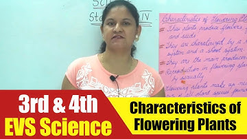 3rd & 4th EVS Science | Characteristics of Flowering Plants | CBSE Science Syllabus