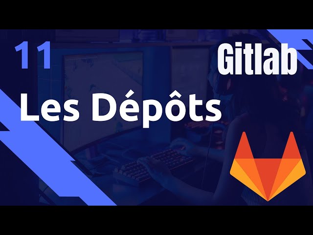 Les DEPOTS : principales définitions (branches, tags...) - #GITLAB 11