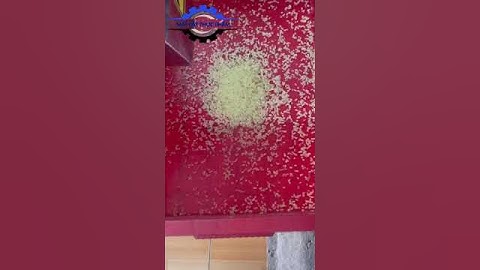 Máy cắt xoài, cắt hành tây, cắt khoai tây, cắt khoai lang, hạt lựu 3mm