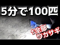 【都市伝説】5分で100匹のワカサギが網で捕れる！？【琵琶湖】