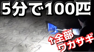 【都市伝説】5分で100匹のワカサギが網で捕れる！？【琵琶湖】
