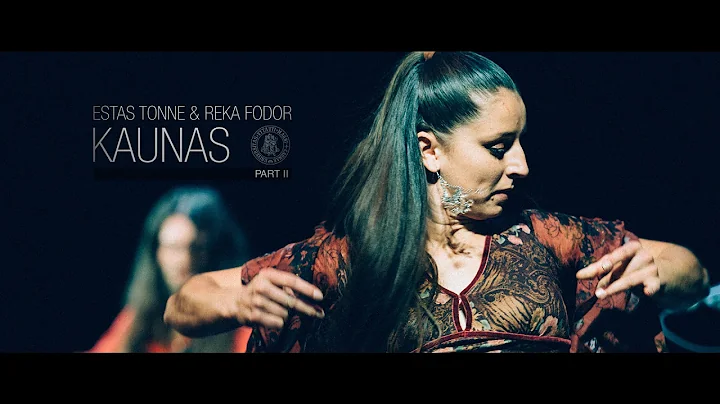 Estas Tonne & Reka Fodor @ VDU Kaunas 2014 [HD] Pa...