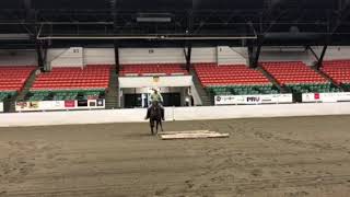 Shine ranch riding pattern 5 News