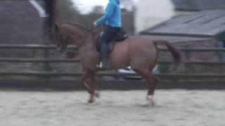 Remus Flatwork 1