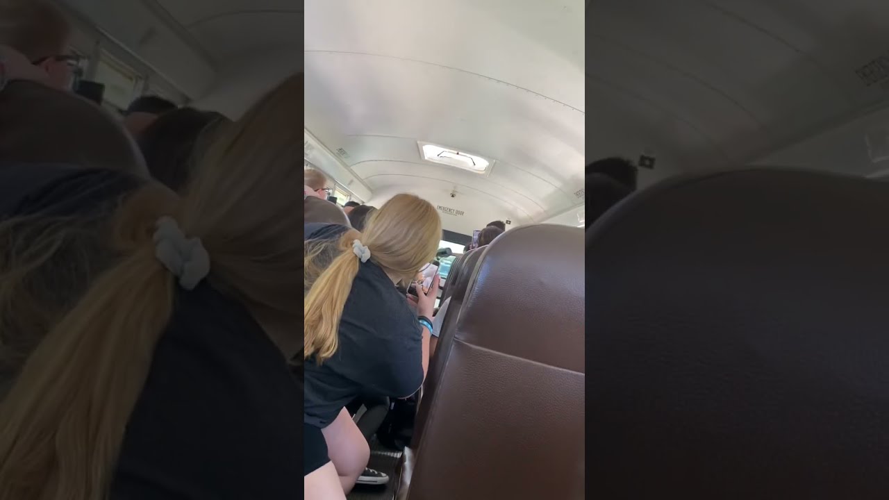 There Was A Fight On My Chaotic Bus 