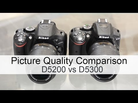 Nikon D5200 vs Nikon D5300 Picture Quality Comparison