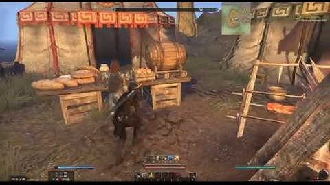 ESO Glitches #2 thieving and stabbing gone wrong - Journey Bug