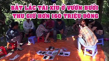 Bắt quả tang tụ điểm lắc tài xỉu ăn tiền ở vườn bưởi thu giữ hơn 160 triệu đồng | Tin Tức Bến Tre