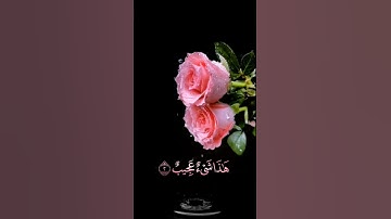 صباح الخير 🌷 حالات واتساب مقاطع قصيره🌷قران كريم سورة ق والقرآن المجيد🌷 القارئ أحمد النفيس بدون حقوق