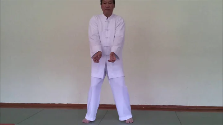 Hong Gia Vietnam white belt lesson1 Minsk 2016