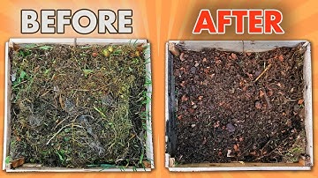 Composting For Beginners | STEP BY STEP Guide How To Start Composting At Home