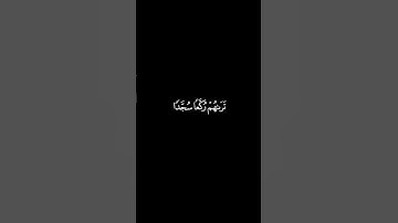 محمد رسول الله و الذين معه اشداء على الكفار رحماء بينهم/من سورة الفتح/بصوت الشيخ ياسر الدوسَرَي