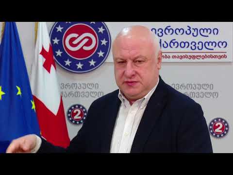 მედიის ხელმძღვანელის ამოღება მიზანში, ძალიან ცუდი ფაქტია - წერეთელი გვარამიას საქმეზე