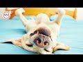 Ultimate FUNNY DOG COMPILATION 2019