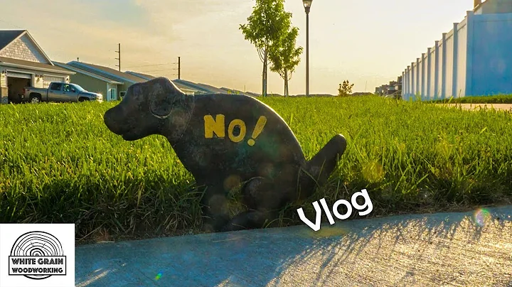 Vlog | 8 June | White Grain Woodworking