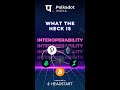 What the heck is interoperability  polkadot india  headstart  shorts