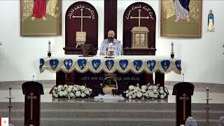 Daily Divine Liturgy in Arabic Offered by: Abouna Fawaz Kako 5/20/2024