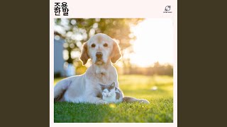 달빛 휴식