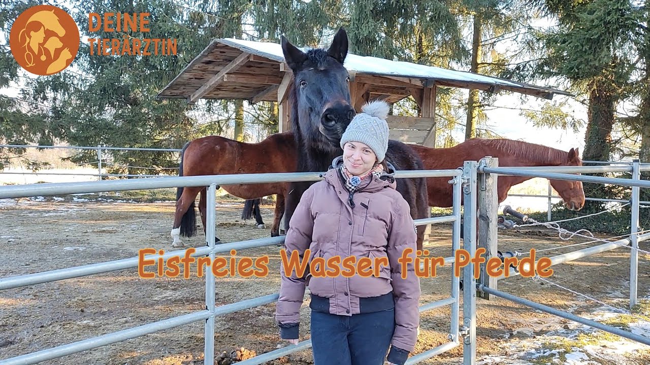 ❄️🐎 Eisfreies Wasser für Pferde im Winter 