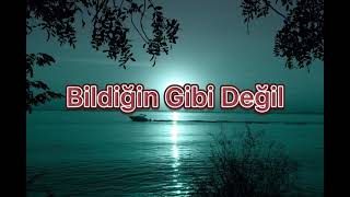 Bildiğin gibi Değil! I Mehmet Ercan I Kadir Oğul