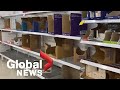 Coronavirus outbreak: Virus concerns lead to empty shelves at grocery stores around the world