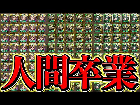 【人間卒業】パズドラガチ勢たちの1面がヤバすぎたｗｗｗｗｗｗｗｗｗｗ【パズドラ】