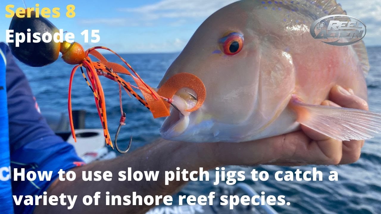 How to use slow pitch jigs to catch a variety of inshore reef species.