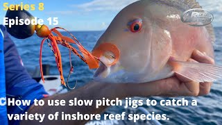 How to use slow pitch jigs to catch a variety of inshore reef species. screenshot 4