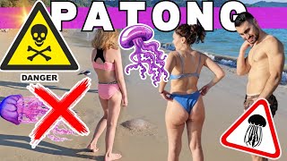 ❌⛔️ Jellyfish Invasion in Patong Beach | Phuket 2024