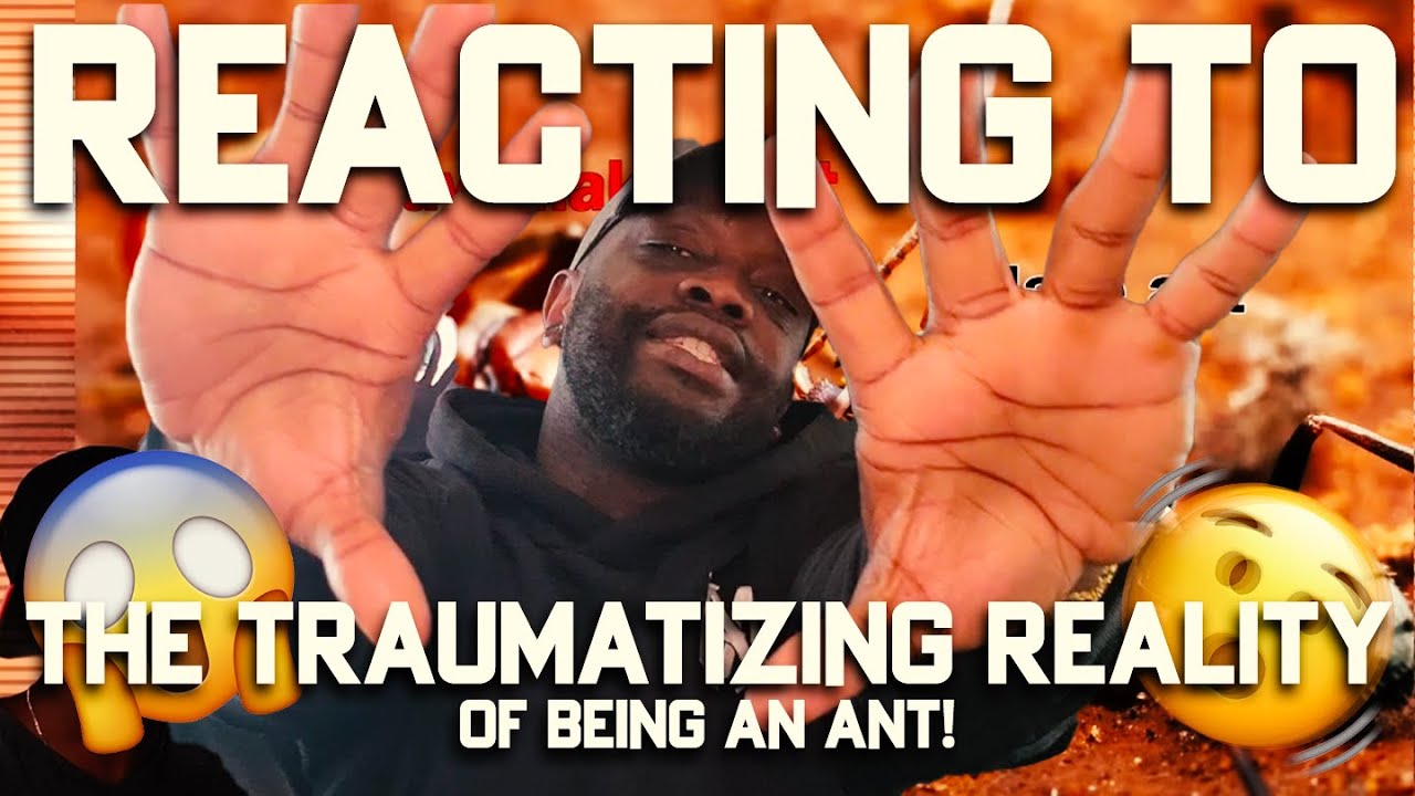 The Traumatizing Reality of Being An Ant | casual geographic