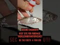 ARTIFICIALLY ENHANCE YOUR LIVE BAIT!! #fishing #shorts #viral