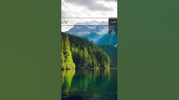 من سورة [الأنبياء: ٨٣-٨٤] بصوت ناصر القطامي