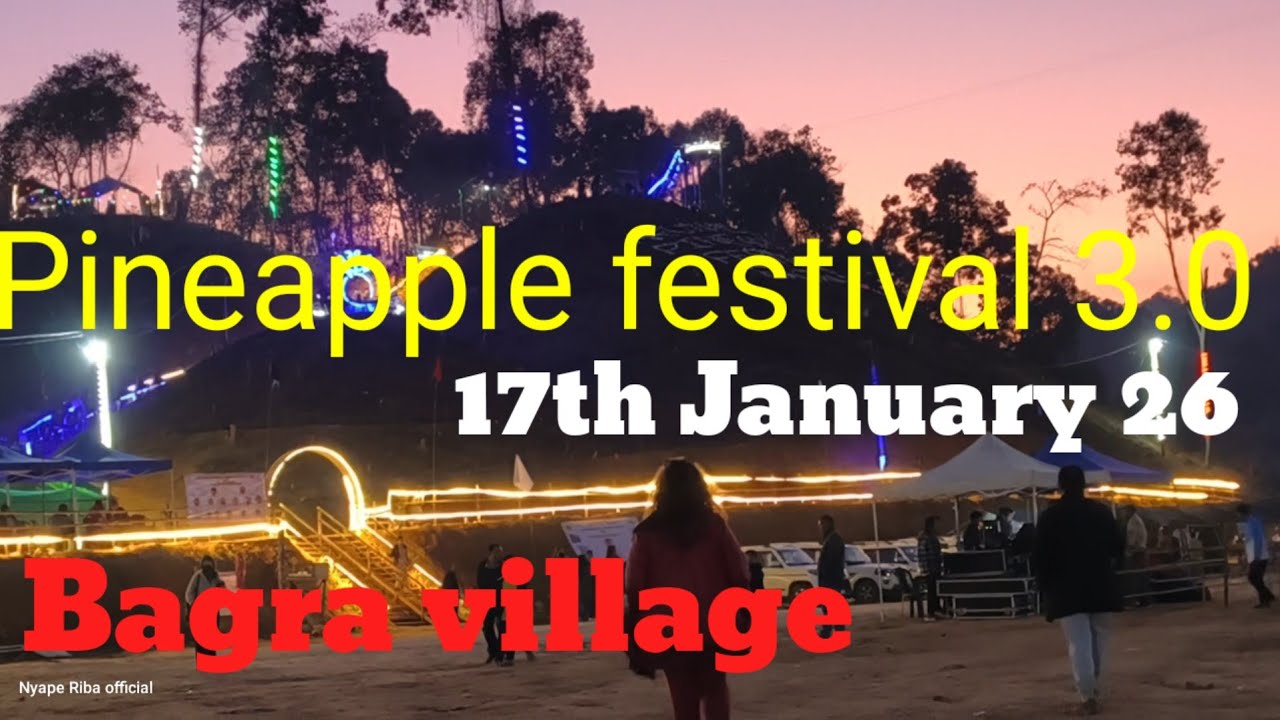 Pineapple festival 3.0 Bagra