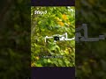 Experience the Future of Aerial Photography 🖤 #fyp #viral #drone