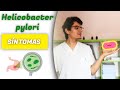 🔴 HELICOBACTER pylori: transmisión, síntomas y TRATAMIENTO. Riesgo de CÁNCER