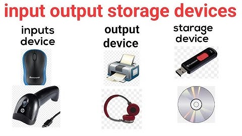 Input, Output and Storage Devices | Class 4 Computer Lesson | Learn Computer Devices for Kids