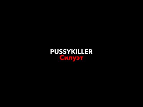 PUSSYKILLER–силуэт|текст песни