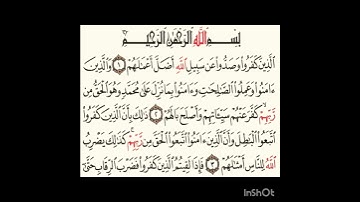 سورة محمد ١الى٣ #سورةالفاتحة #اكسبلور #سورةالكوثر #لايك #ترند #المصحف #سورةالاخلاص #الرحمن