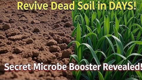 Ancient Soil Hack Revives Dead Soil in DAYS | Feed Microbes, Explode Growth FAST”
