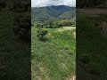 pemandangan alam di siang hari #drone #pemandanganbagus #shorts