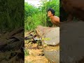 a BOAT made out of ONE SINGLE LOG?! #shorts #satisfying
