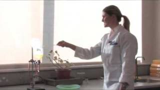 Flash bang science