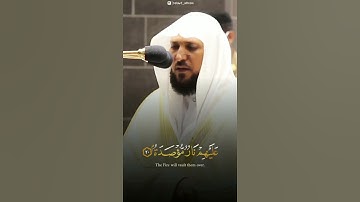 حالات واتس روعه- لفضيلة الشيخ د. ماهر المعيقلي  _ ما تيسر من سورة البلد