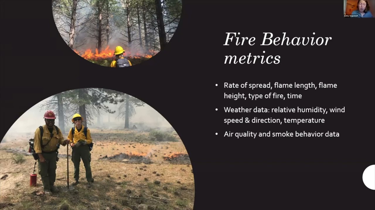 Importance of prescribed burn monitoring for reaching ecological goals - Ashley Grupenhoff