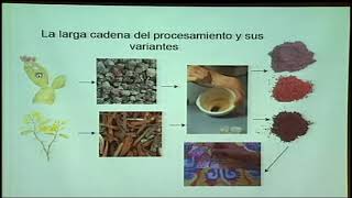 La tradici&oacute;n tecnol&oacute;gica del arte ind&iacute;gena (1/2)