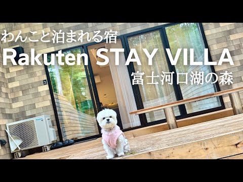 【誕生日vlog#2】Rakuten STAY VILLA 富士河口湖の森を1泊2日で堪能してきた / マルチーズ×ペキニーズ