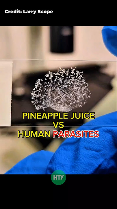 Pineapple Juice vs. Parasitic Worms – You Won’t Believe This! 🍍🧬