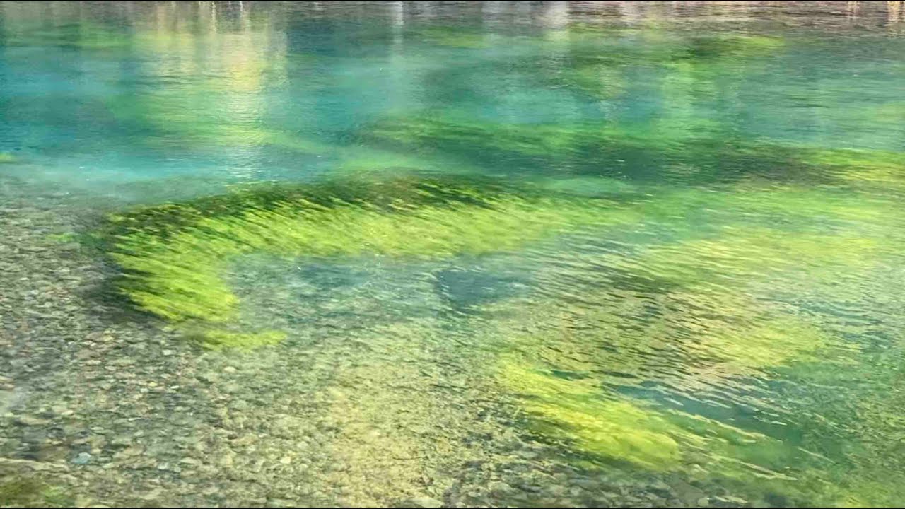 心地よいせせらぎ|ASMR|1hour |川の音|癒し|水の音|リラックス|清流|relaxation|healing ...