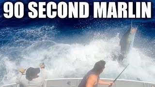 90 Second Marlin