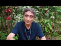 Dr gabor mat   ayahuasca healing at the temple of the way of light